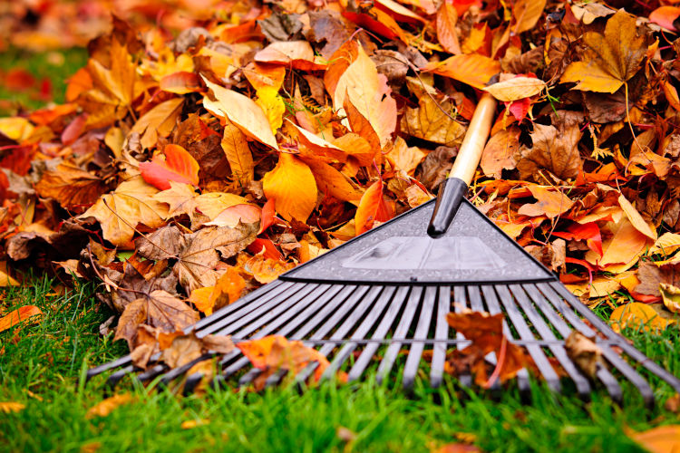 3 Excellent Landscaping & Hardscaping Projects For The Fall