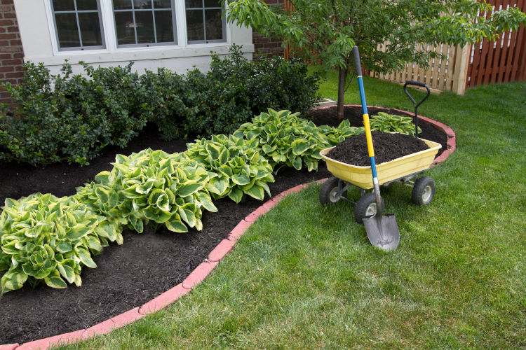 How To Find The Best Silicon Valley Landscaping Contractor