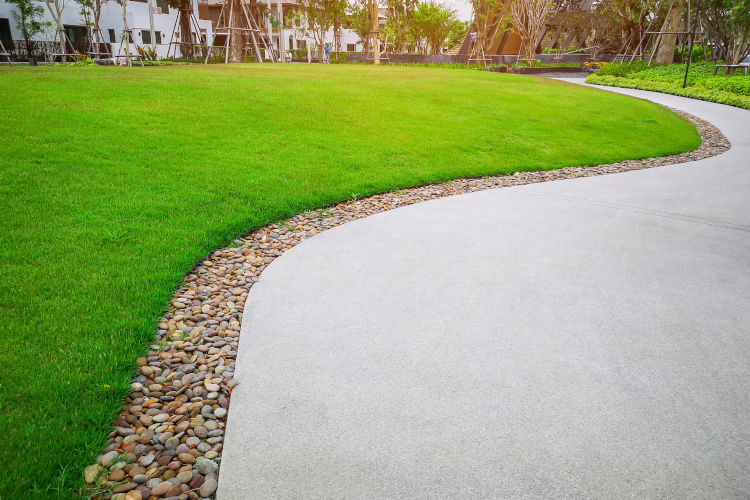 San Jose Lawn Care: Easy Maintenance Yards