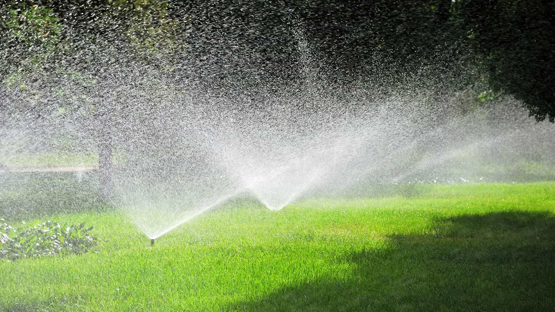 Custom Irrigation Systems