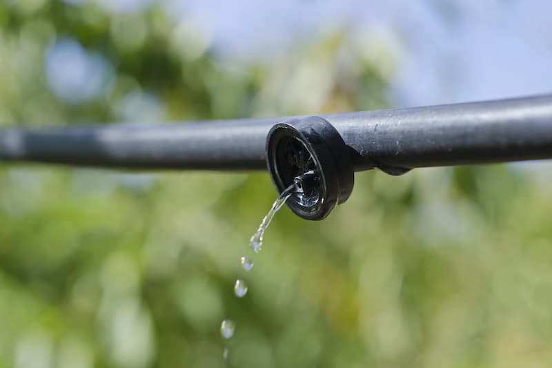 Drip irrigation