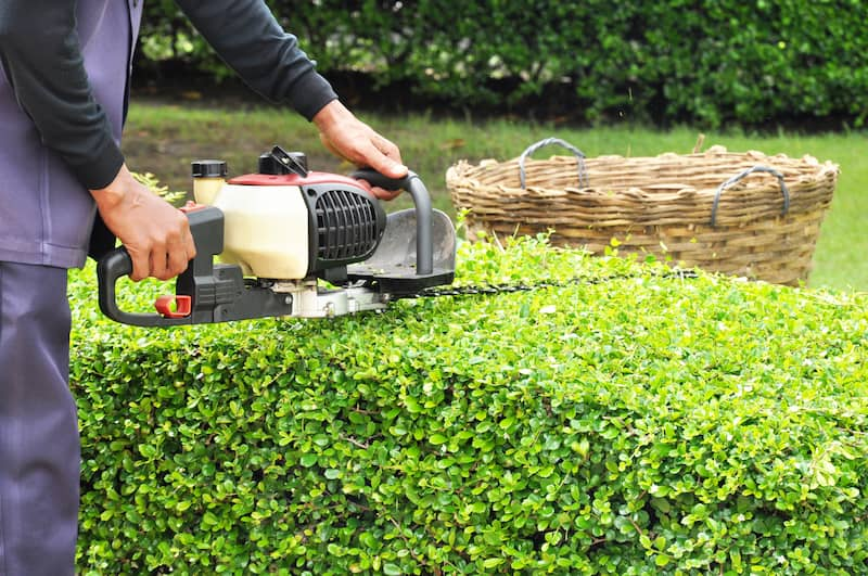 Commercial lawn care maintenance