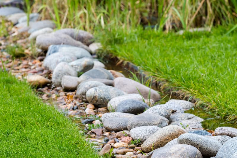 Drought friendly landscaping