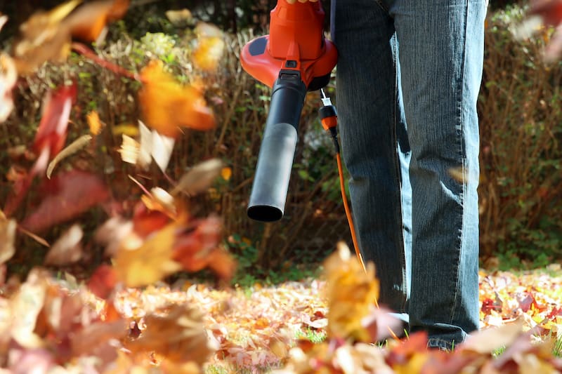 Spring fall cleanup