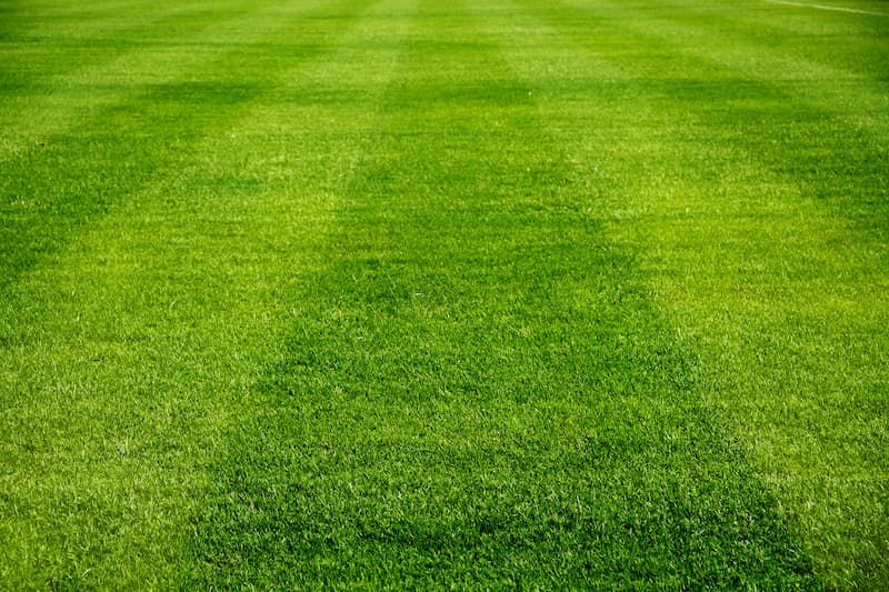 Turf cleaning